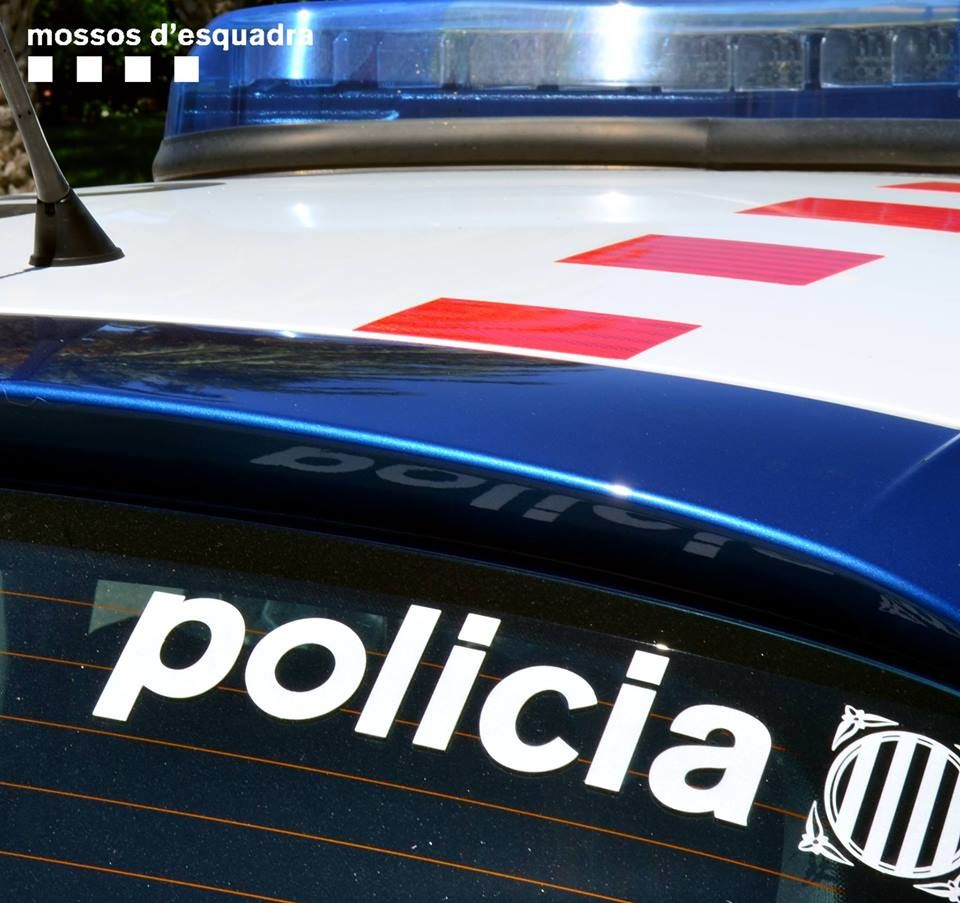 cotxe dels mossos detall logotip