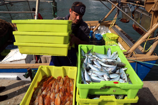 Mariner descarregant caixes de peix al Serrallo