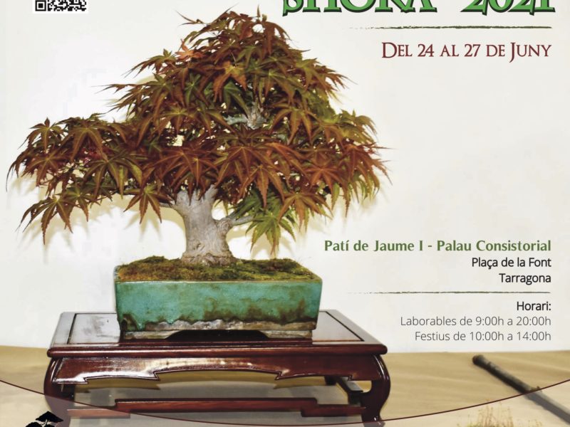 POSTER bonsai