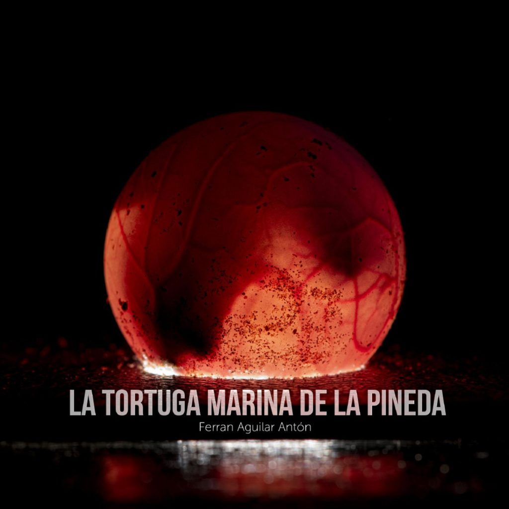 Portada del llibre sobre la tortuga Mascletà de Ferran Aguilar.