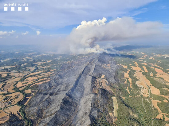 Pla general aeri de superfície calcinada per l'incendi iniciat a Santa Coloma de Queralt (Conca de Barberà) el 25 de juliol de 2021 (Horitzontal)