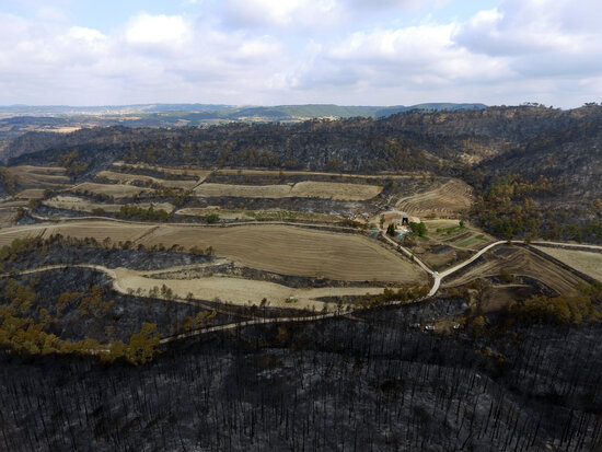 Pla aeri de zones forestals i agrícoles afectades per l'incendi de la Conca de Barberà i l'Anoia. Foto: Quim Vallès.