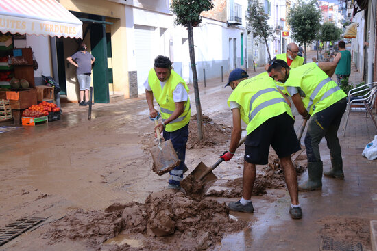 Un grup de voluntaris de l'Ametlla de Mar treballant en les tasques de neteja d'un dels carrers principals de les Cases d'Alcanar. Foto: ACN.