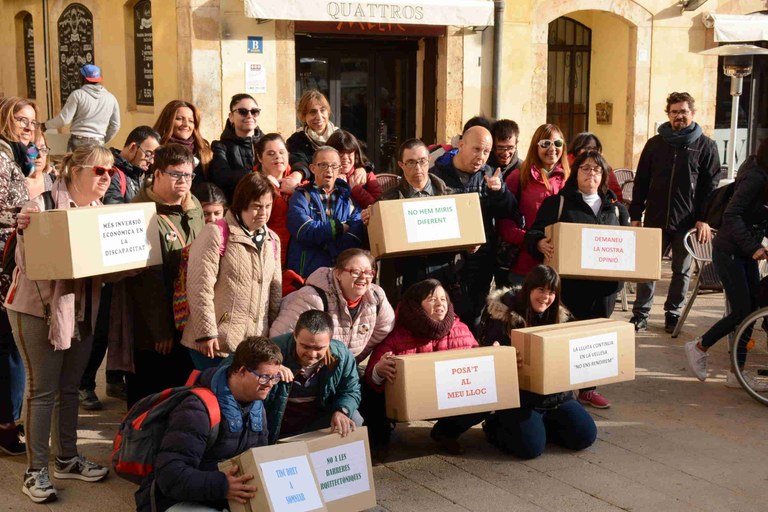 El Consell Municipal de la Discapacitat està format per representants de diferents entitats de la ciutat.