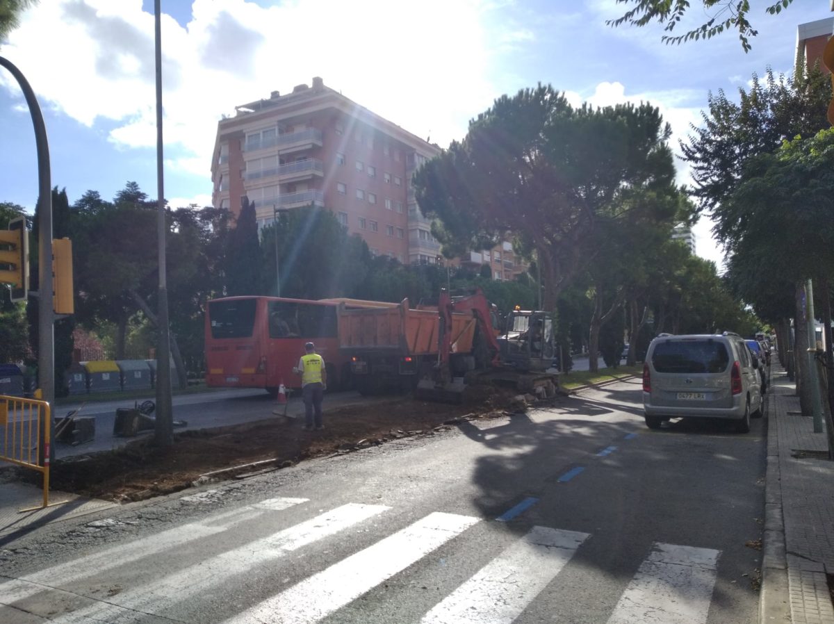 Tala d'arbres a l'avinguda de Roma