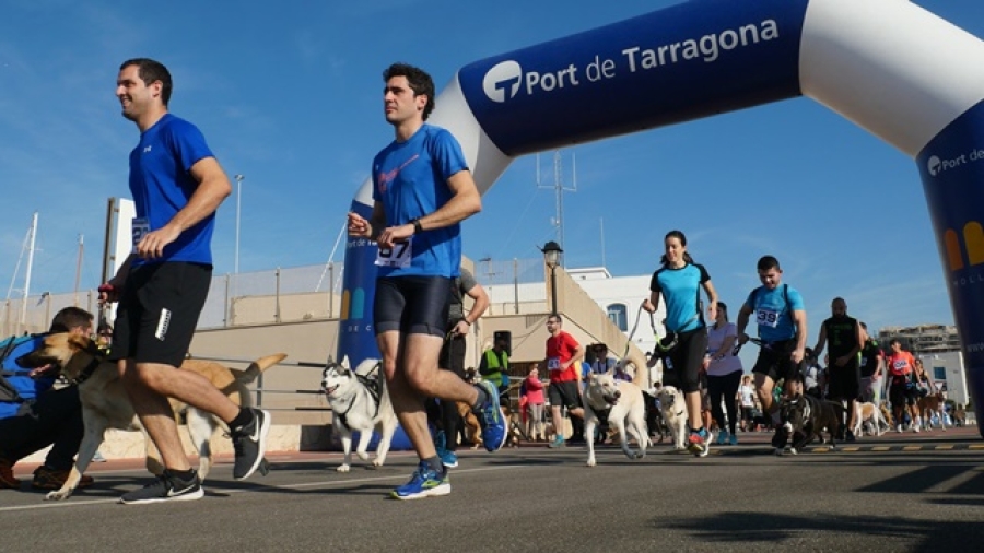 El IV Canicròs Solidari es va fer el diumenge 24 d'octubre i va tenir una molt bona acollida. Foto: Protectora d'Animals de Tarragona.