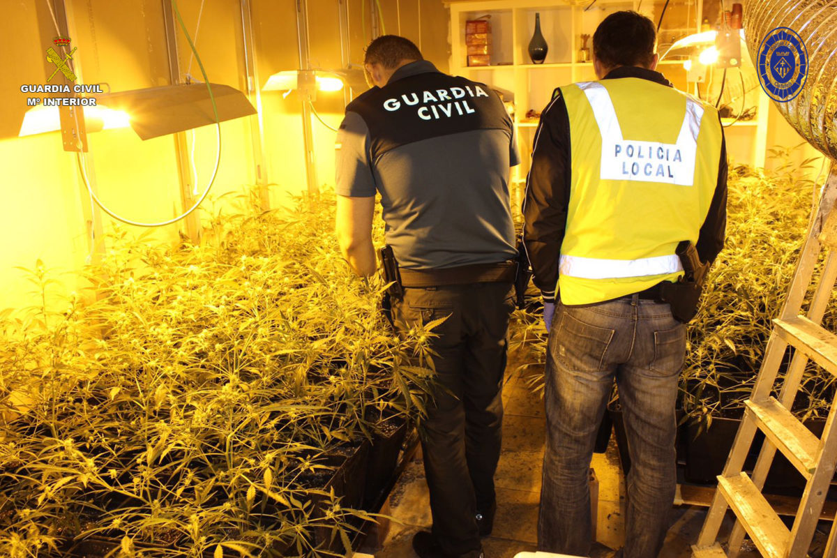 Agents policials en una plantació de marihuana al Perelló.