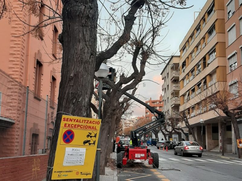 Poda a Tarragona