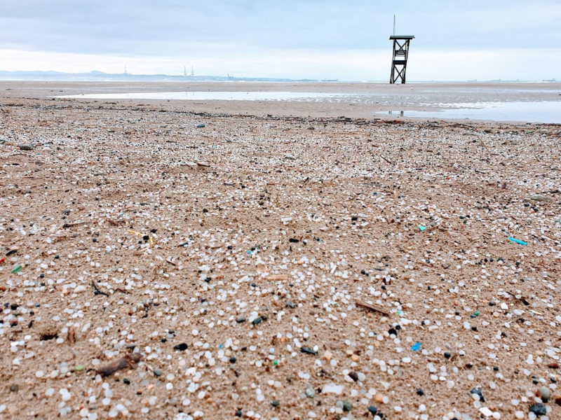 Pèl·lets a la platja de la Pineda