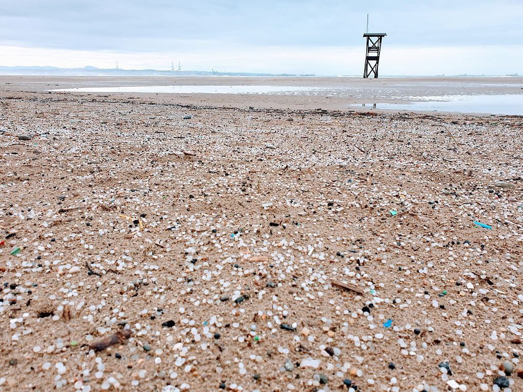 Pèl·lets a la platja de la Pineda