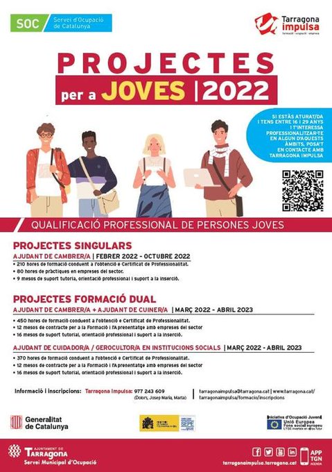 Projectes de Formació de Joves