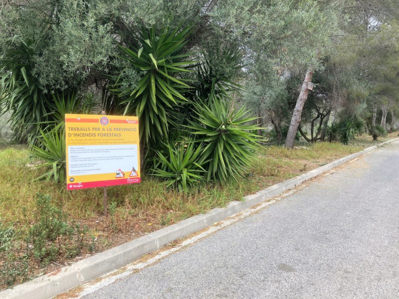 Imatge dels treballs de neteja i manteniment forestals a la zona dels Monnars, per on s'han començat les tasques.