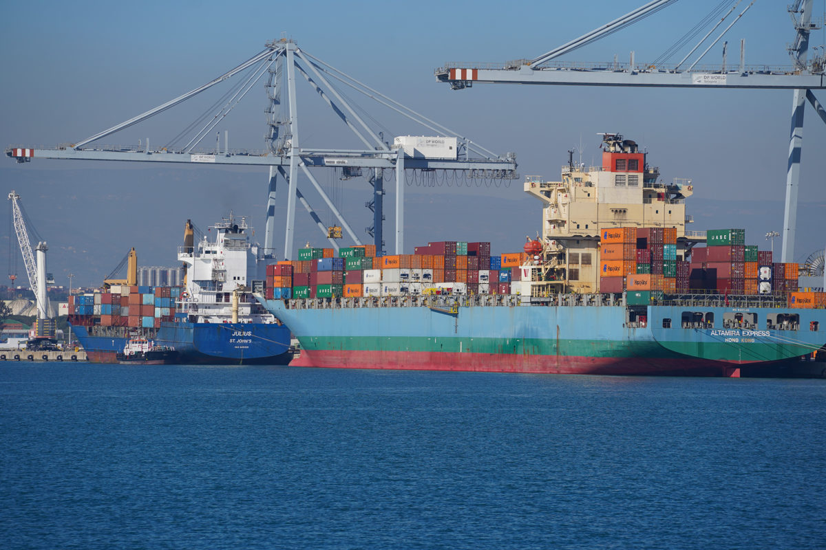 Un buc al Moll d'Andalusia. Foto: Port de Tarragona.