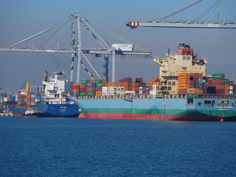 Un buc al Moll d'Andalusia. Foto: Port de Tarragona.