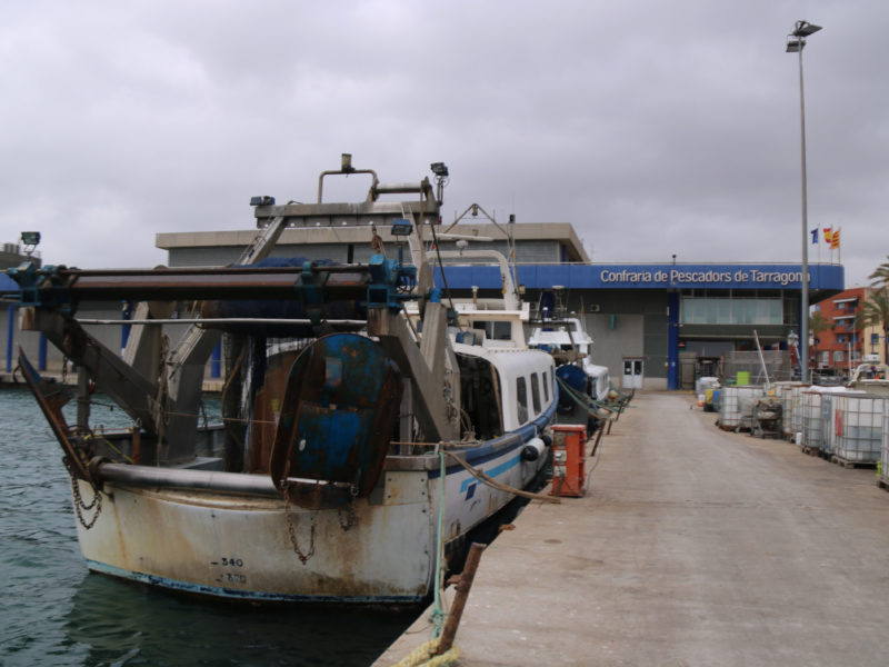 Les barques del Serrallo es queden a port per tercer dia a causa de la vaga dels pescadors. Foto: ACN.