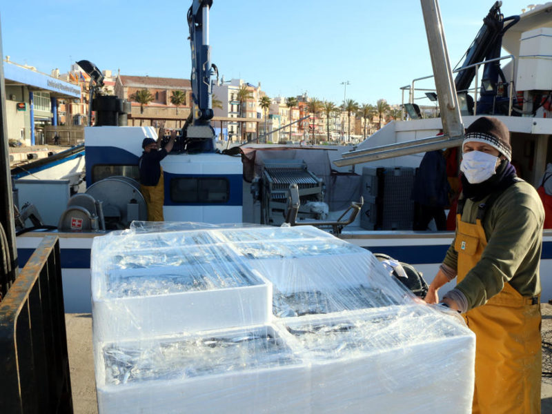 Un mariner del peix blau del Serrallo davant una pila de caixes de seitó. Foto: ACN.