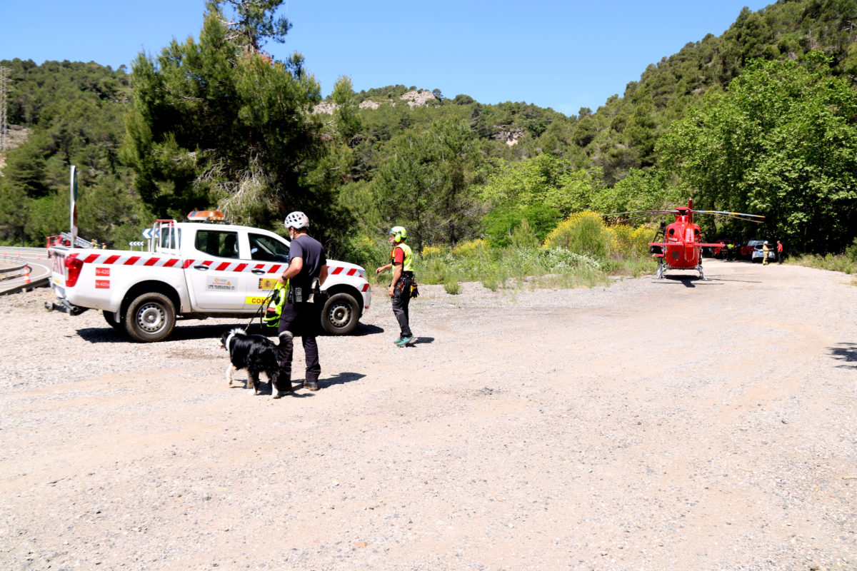 Bombers de rescat a un bosc