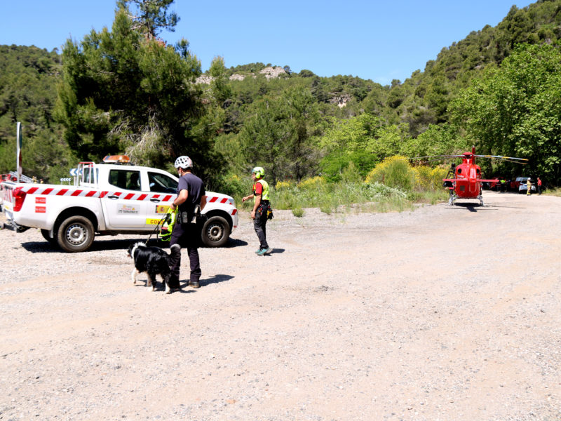 Bombers de rescat a un bosc