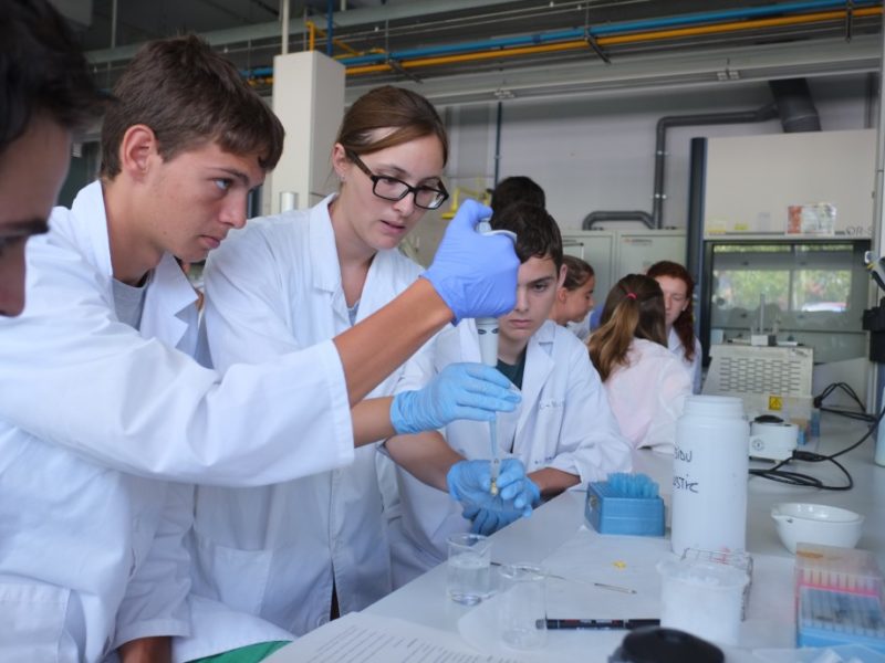 Els cursos d'EstiURV tornen a la presencialitat, mentre que el campus de física i matemàtiques serà híbrid.