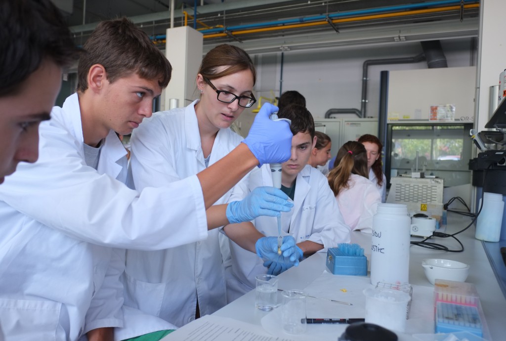 Els cursos d'EstiURV tornen a la presencialitat, mentre que el campus de física i matemàtiques serà híbrid.