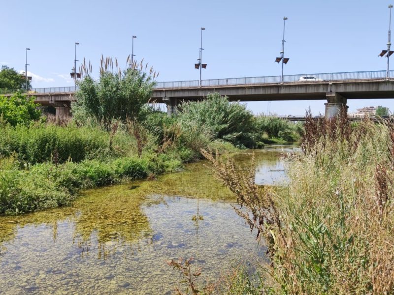 Riu Francolí amb aigua i pont d'accés a la ciutat