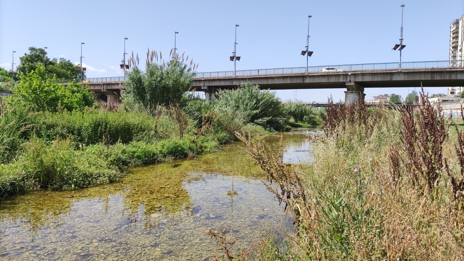 Riu Francolí amb aigua i pont d'accés a la ciutat