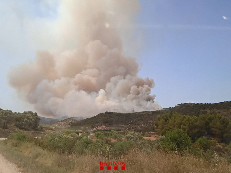 Incendi Foresta Corbera Ebre 15 juny 2022