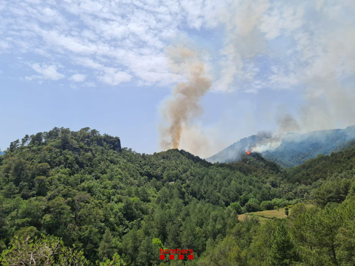 Incendi la Riba juny 2022