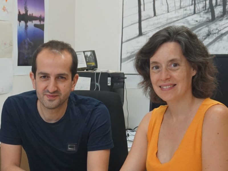 Els investigadors de la URV Roger Guimerà i Marta-Sales Pardo han desenvolupat un model capaç de predir la composició de la microbiota intestinal sense necessitat de fer servir mostres biològiques