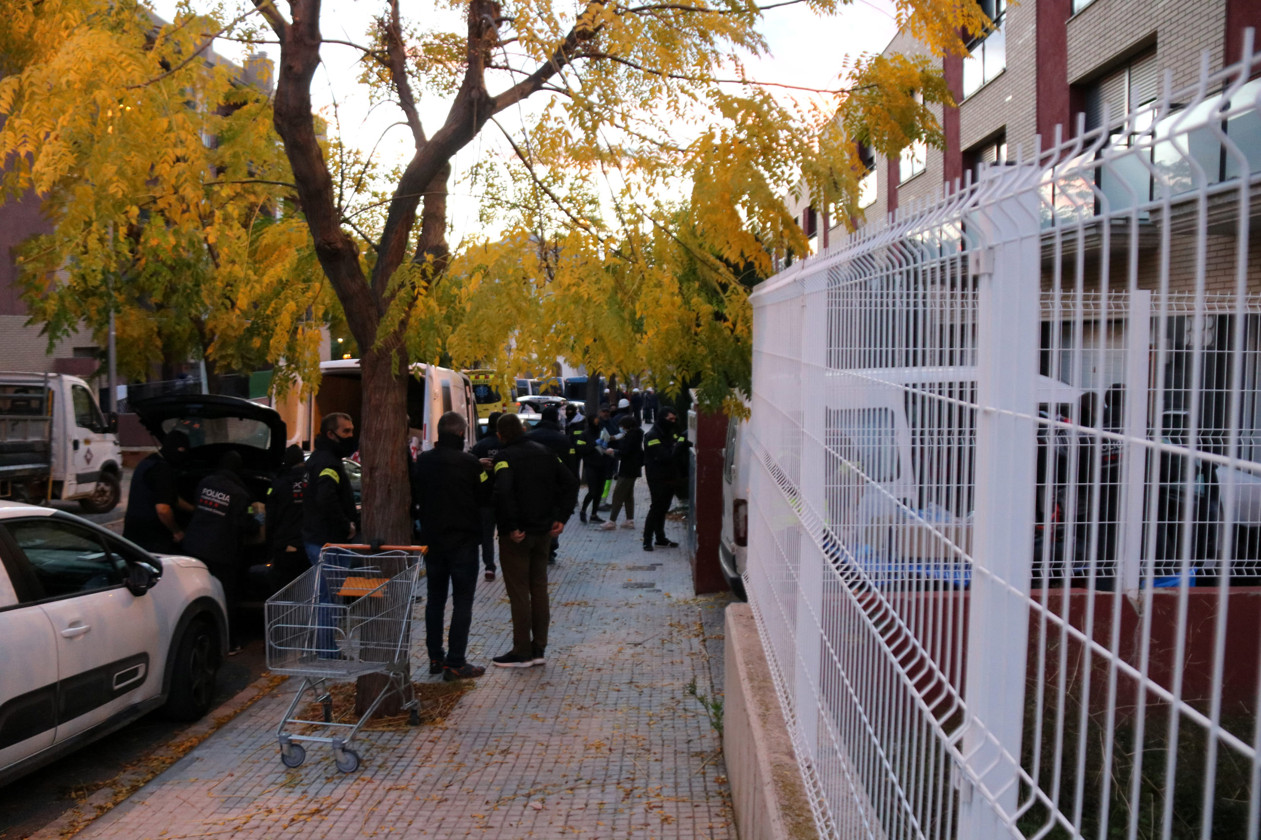 Efectius dels Mossos d'Esquadra durant l'operatiu antidrogues fet a primera hora d'aquest matí al municipi de Constantí