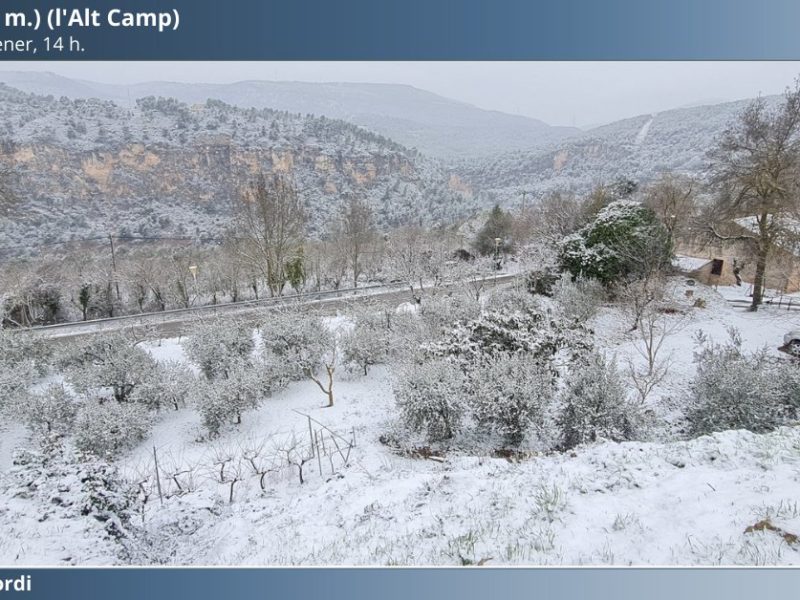 Querol. FOTO: METEOCT