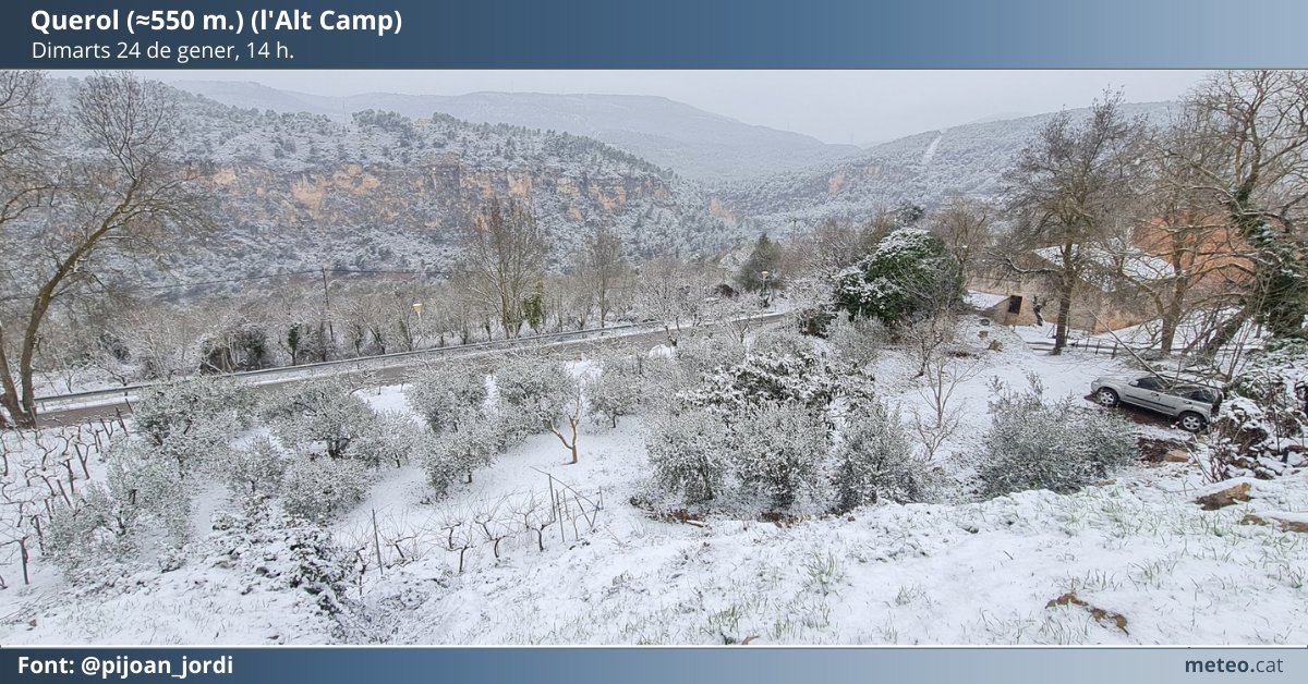 Querol. FOTO: METEOCT