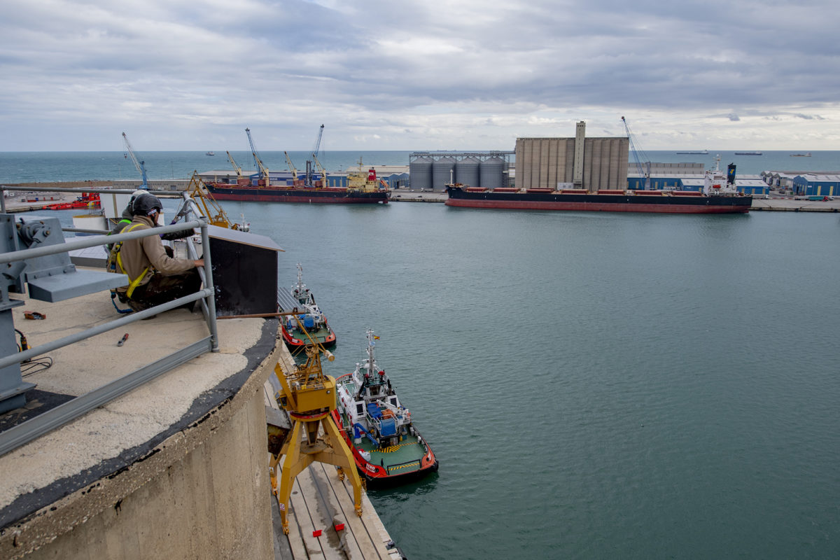 capsa falcó pelegrí Port