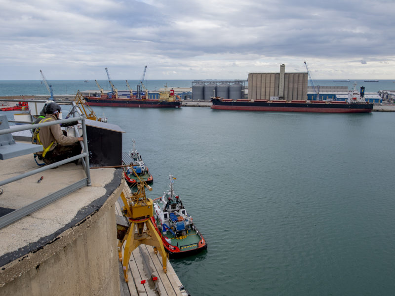 capsa falcó pelegrí Port