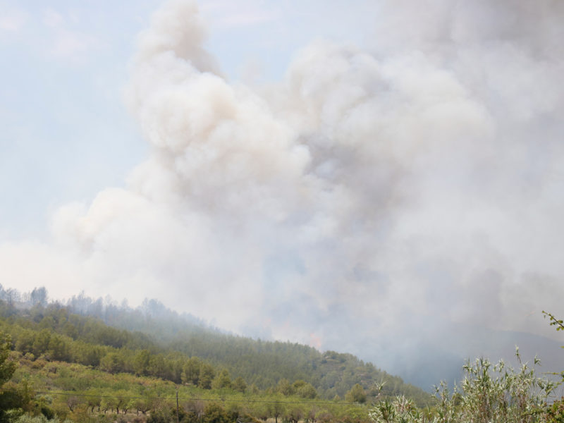 Incendi forestal al Pont d'Armentera