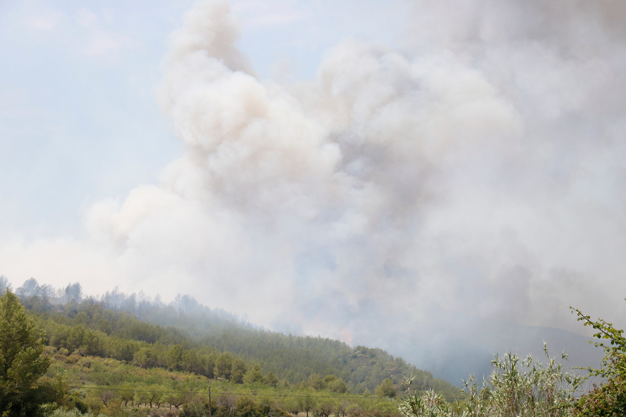 Incendi forestal al Pont d'Armentera