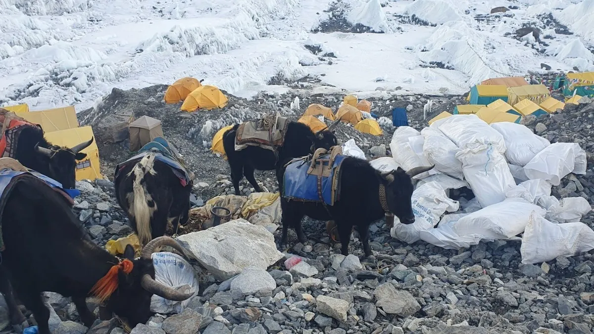 Everest - Comitè de Control de la Contaminació Sagarmatha