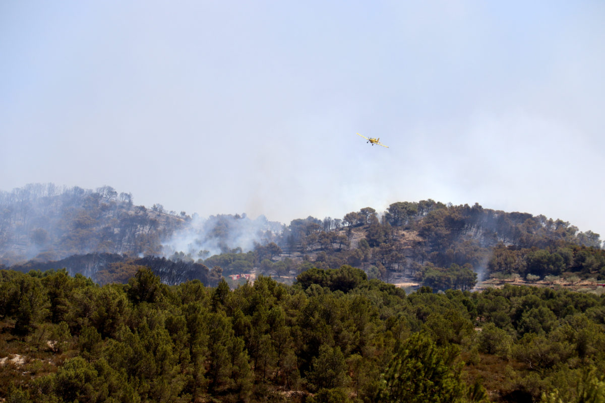 Una avioneta dels Bombers passa per sobre d'una zona boscosa cremant al Perelló Data de publicació: dimarts 01 d’agost del 2023, 15:40 Localització: El Perelló Autor: Neus Bertola