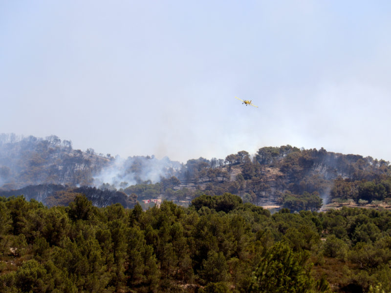 Una avioneta dels Bombers passa per sobre d'una zona boscosa cremant al Perelló Data de publicació: dimarts 01 d’agost del 2023, 15:40 Localització: El Perelló Autor: Neus Bertola