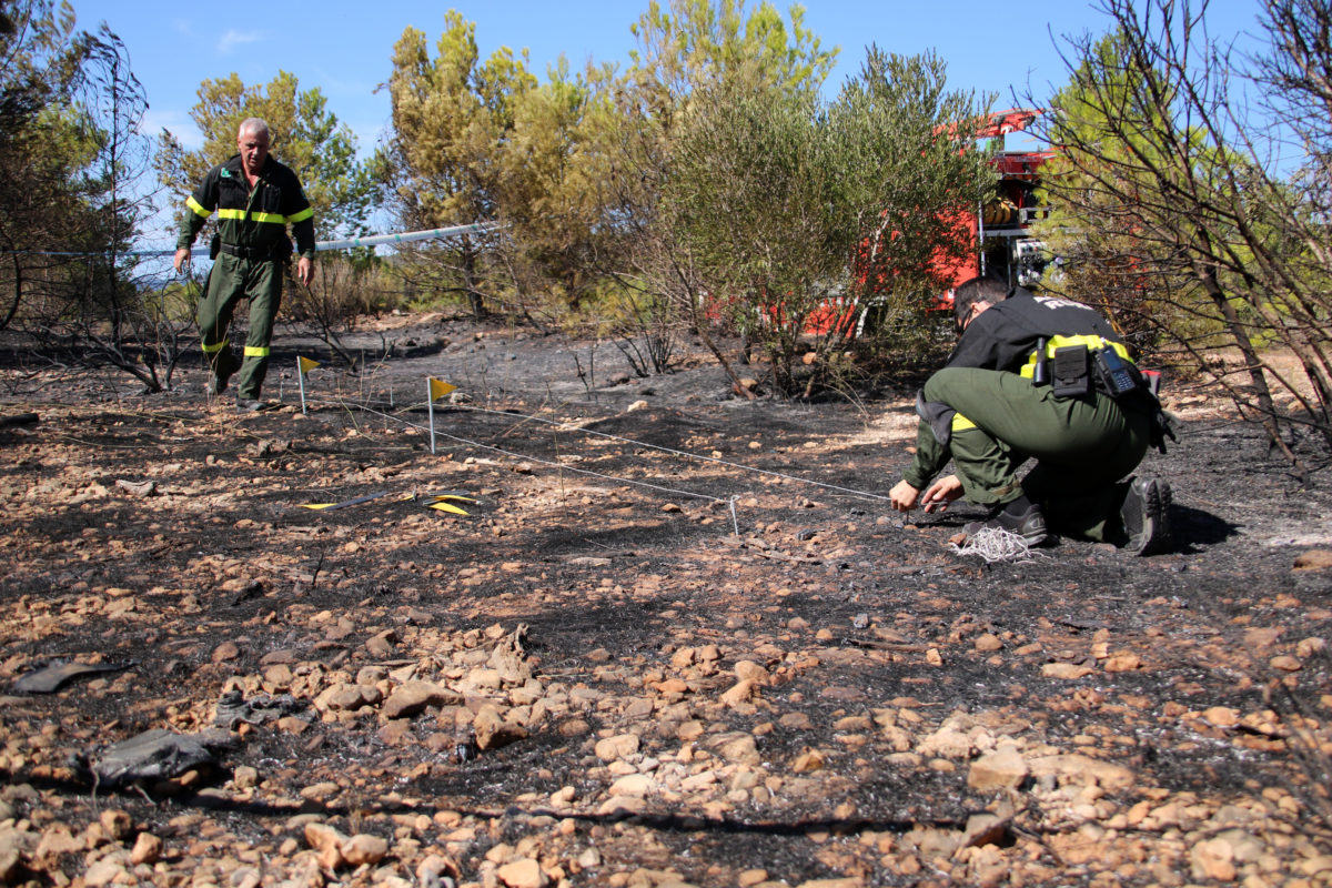 Els Agent Rurals investigant les causes de l'incendi de Mont-roig del Camp Data de publicació: dimarts 29 d’agost del 2023, 12:35 Localització: Mont-roig del Camp Autor: Mar Rovira