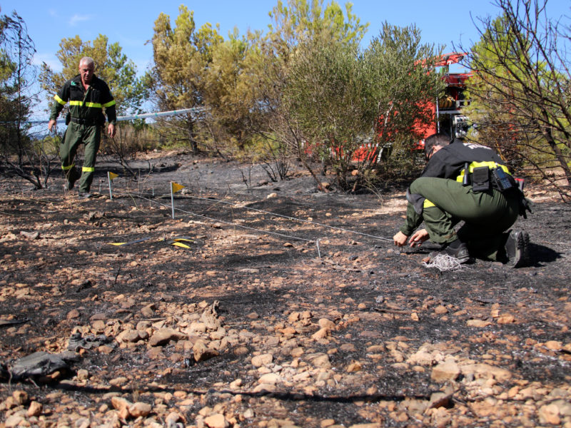 Els Agent Rurals investigant les causes de l'incendi de Mont-roig del Camp Data de publicació: dimarts 29 d’agost del 2023, 12:35 Localització: Mont-roig del Camp Autor: Mar Rovira