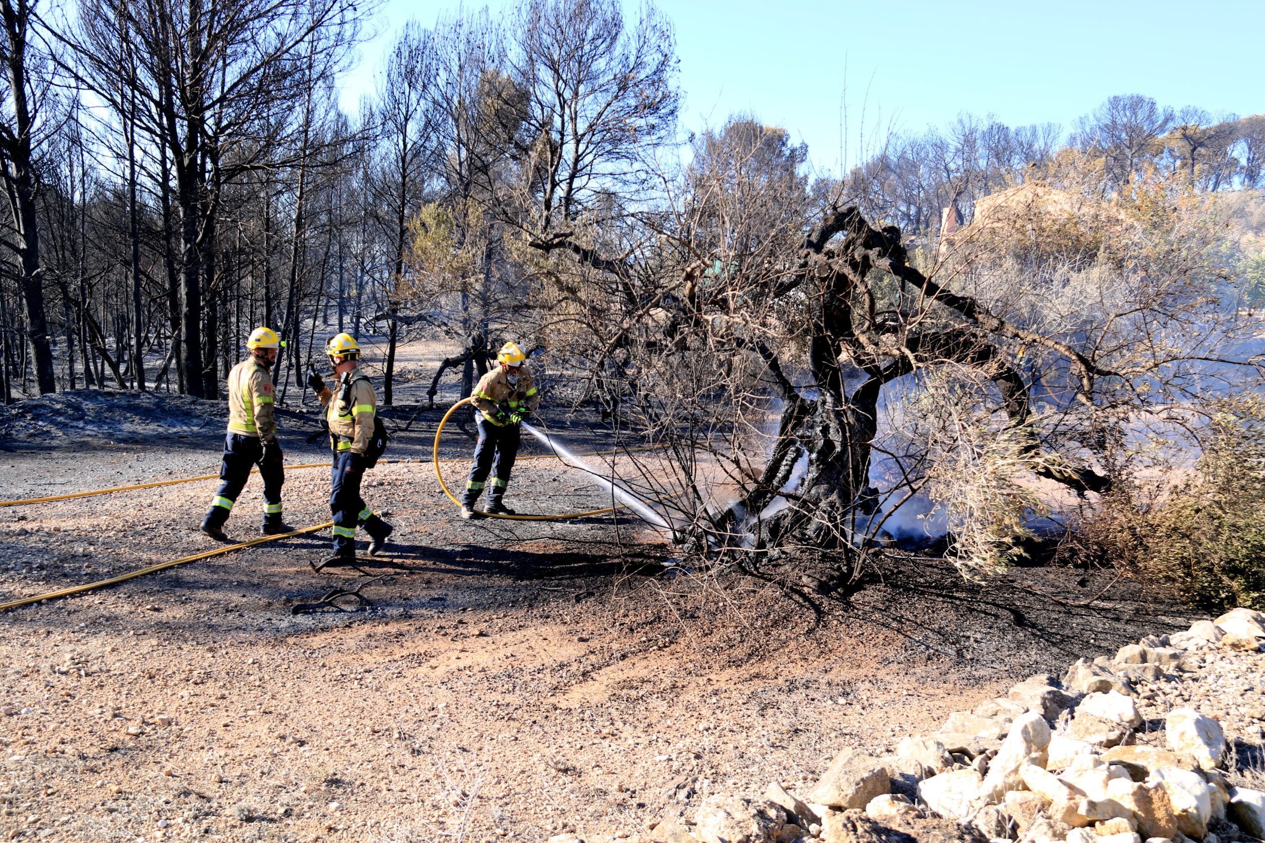 Els bombers apagant diferents focus actius a la zona del Puig Moltó del Perelló Data de publicació: dimarts 01 d’agost del 2023, 19:49 Localització: El Perelló Autor: Neus Bertola / Anna Ferràs