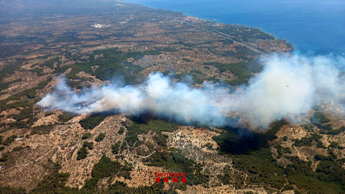 Columna de foc de l'incendi forestal del Perelló, a la zona de la Bassa d'en Fusté i el Puig Moltó