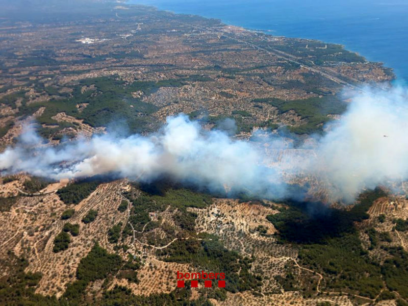 Columna de foc de l'incendi forestal del Perelló, a la zona de la Bassa d'en Fusté i el Puig Moltó