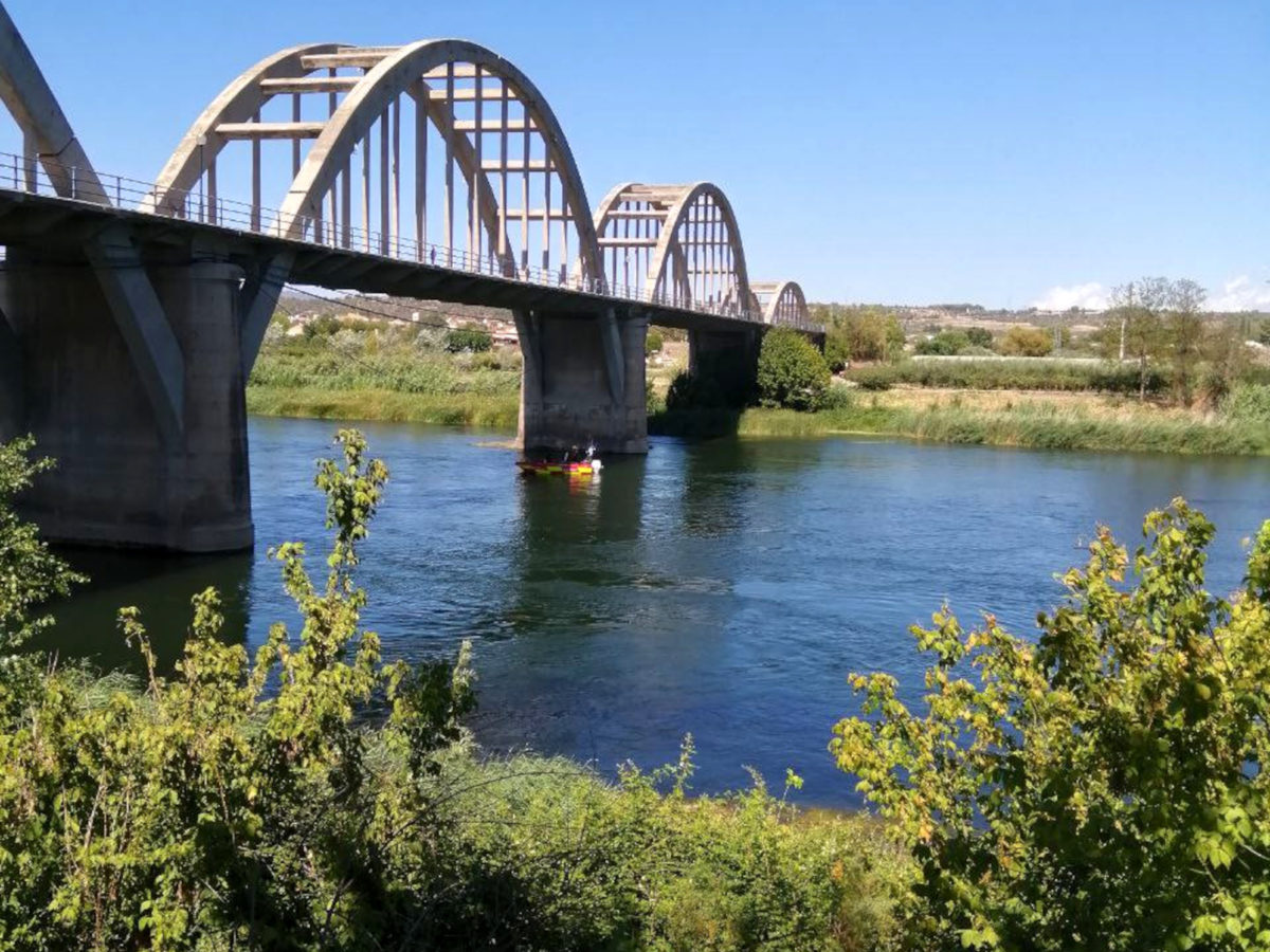 Els bombers busquen un home desaparegut al riu Ebre a Móra d'Ebre, entre la zona de la petanca i el pont