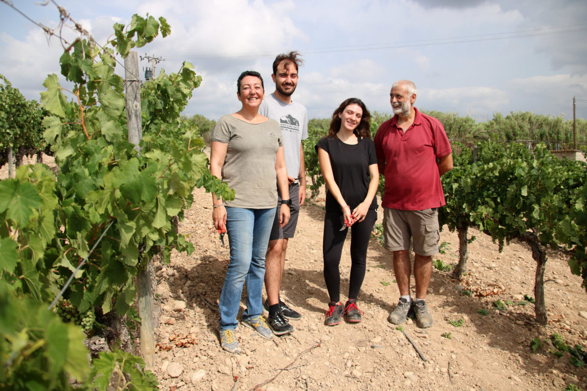 La professora associada de la facultat d'Enologia de la URV, Sumpta Mateos, conjuntament amb l'exalumne Gerard Mora, l'estudiant en pràctiques Julia Royo, a la finca experimental del Mas dels Frares a Constantí Data de publicació: dimarts 15 d’agost del 2023, 07:00 Localització: Constantí Autor: Mar Rovira