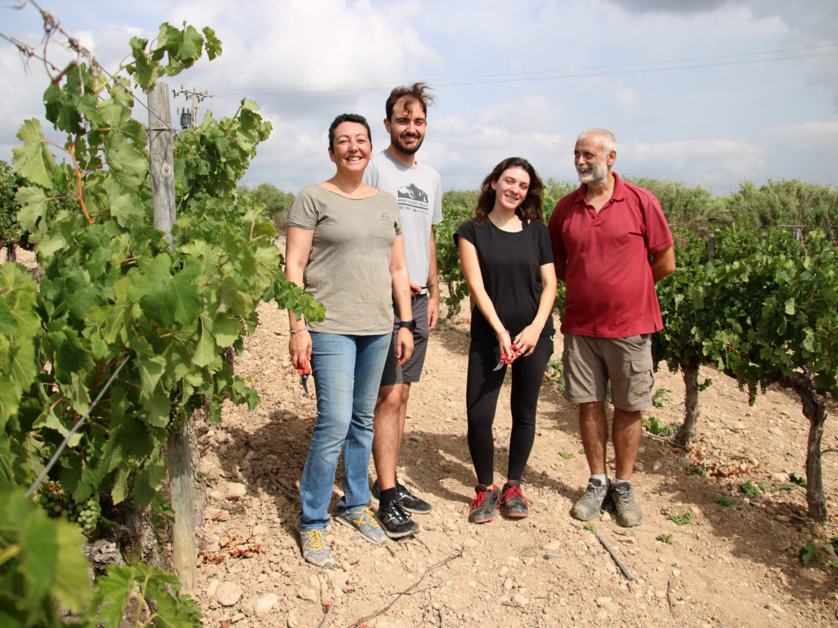 La professora associada de la facultat d'Enologia de la URV, Sumpta Mateos, conjuntament amb l'exalumne Gerard Mora, l'estudiant en pràctiques Julia Royo, a la finca experimental del Mas dels Frares a Constantí Data de publicació: dimarts 15 d’agost del 2023, 07:00 Localització: Constantí Autor: Mar Rovira