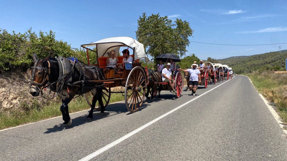 Foto amb carruatges i cavalls dels Portants de Sant Magí durant la baixada de l'aigua del 2023