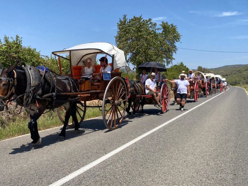 Foto amb carruatges i cavalls dels Portants de Sant Magí durant la baixada de l'aigua del 2023