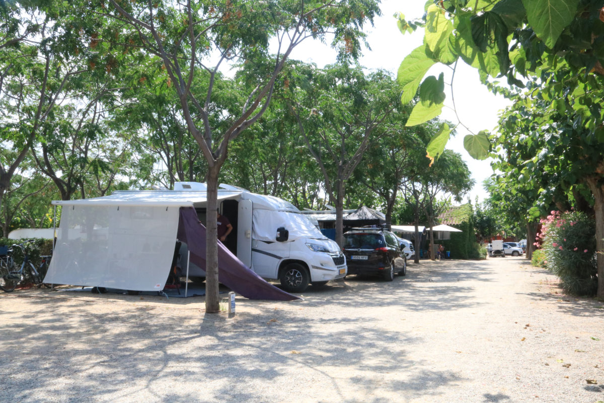 Diverses autocaravanes s'allotgen al Càmping la Llosa de Cambrils Data de publicació: dijous 27 de juliol del 2023, 07:00 Localització: Cambrils Autor: Jordi Marsal / Ariadna Escoda